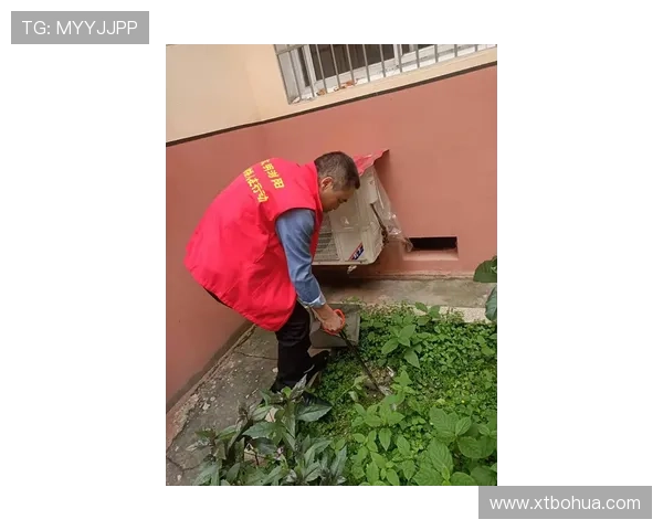 莫西干头劳塔罗助力埃斯波桥梁作用
